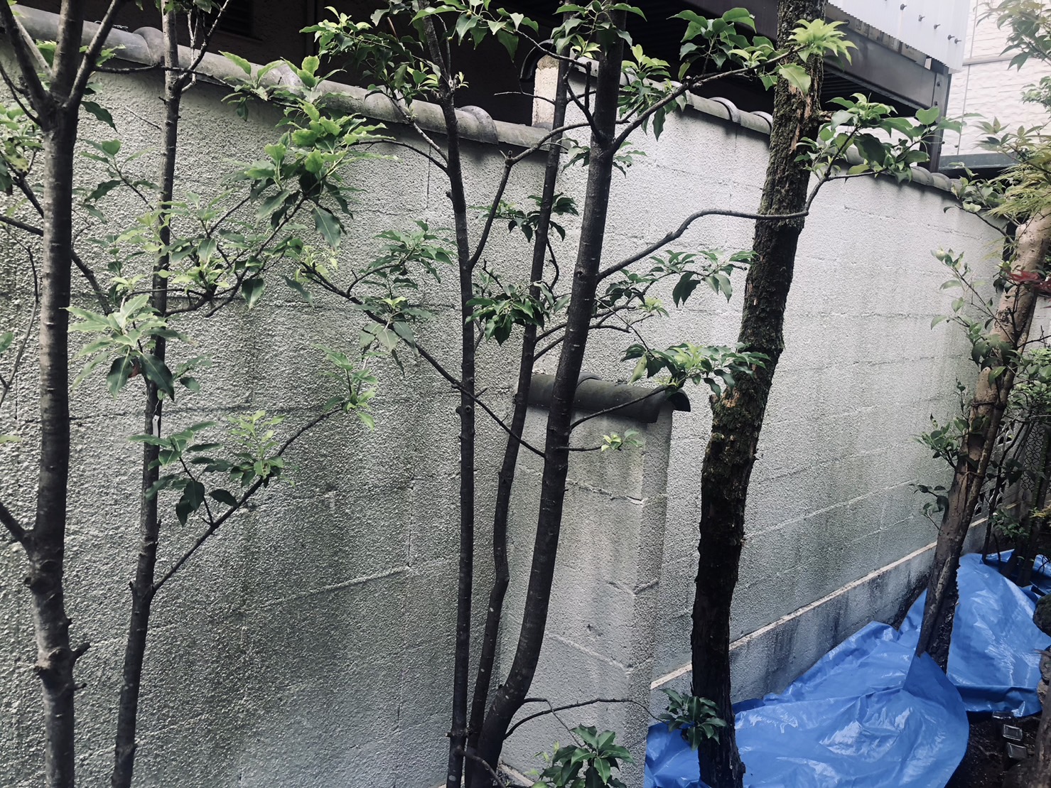 川崎市高津区　瓦撤去　塀塗装